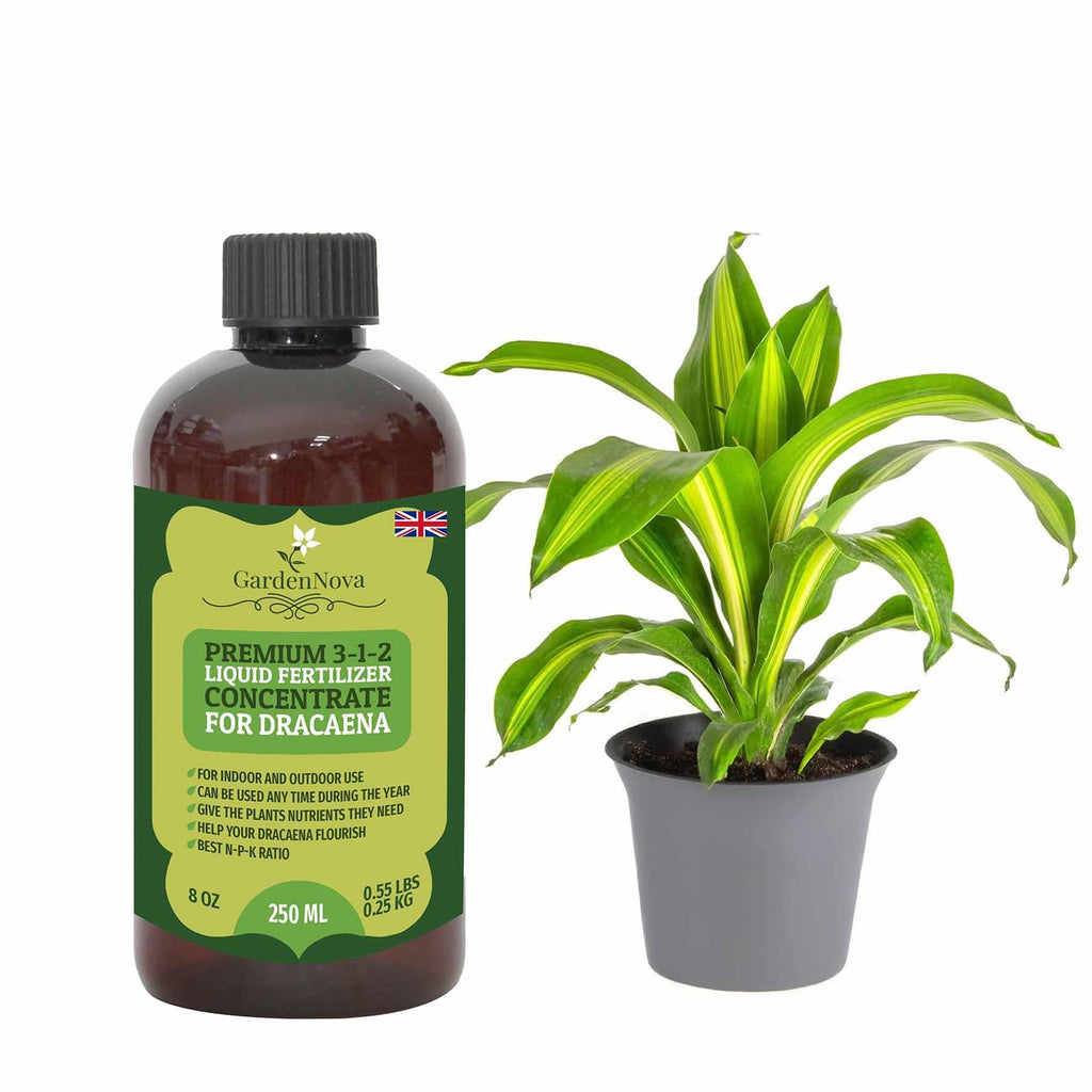 Premium Liquid Dracaena Plant Fertilizer - 3-1-2 Concentrate for Indoor Plants and Flowers by GardenNova | Organic Plant Food for Dracaena Plants – 8 oz