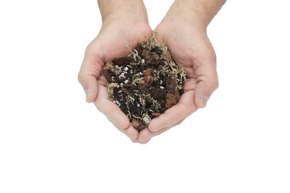 GardenNova's Expert Blend for Peace Lilies: Premium Organic Compost, Bark, Perlite, Charcoal, Sphagnum Ideal for Indoor Plants - [3-Liters Bag]