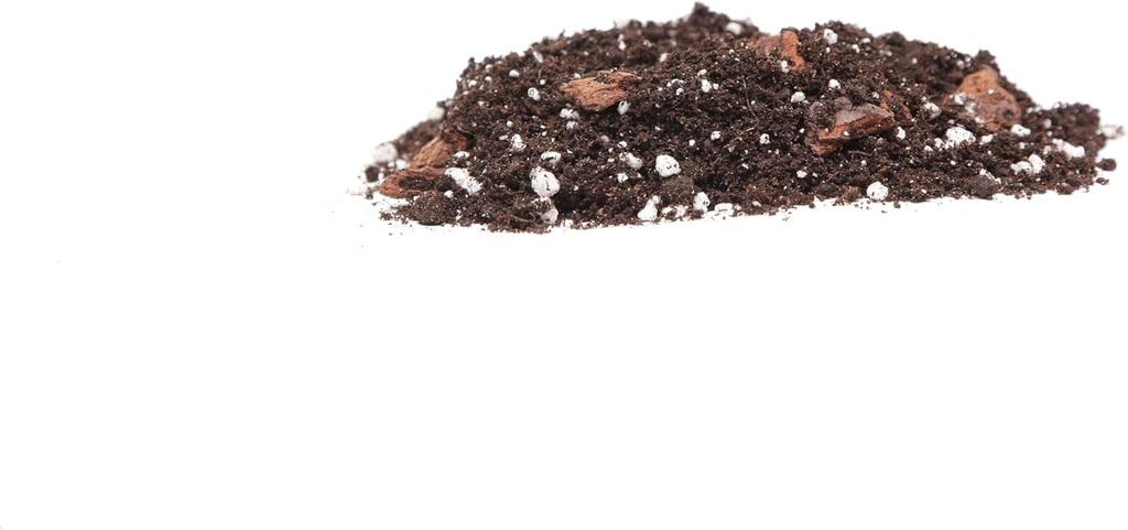 Premium Aloe Vera Potting Soil Mix