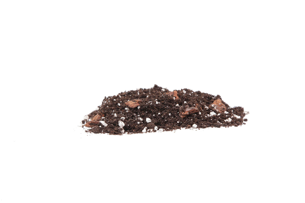 Professional Succulent Soil Premium All Purpose Blend | Pre-Mixed Ready to Use for Cactus and Succulents | Premium Compost, Perlite, Pine Bark - Made in UK - 1 LITER