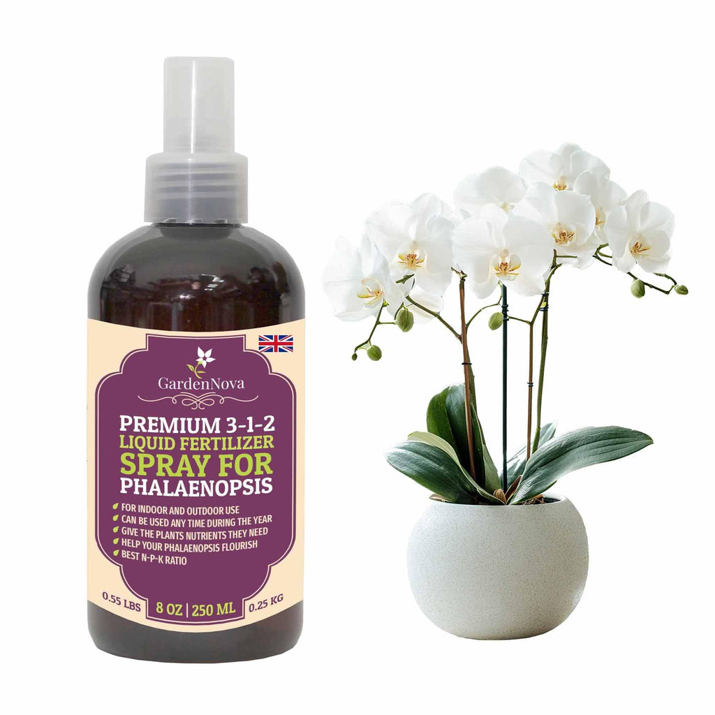 Professional PHALAENOPSIS Spray Fertilizer Mist for Home Gardening | 3-1-2 Gentle Blend Mist for Healthy Leaves & Growth | Essential Nutrients for All Orchids - 8oz
