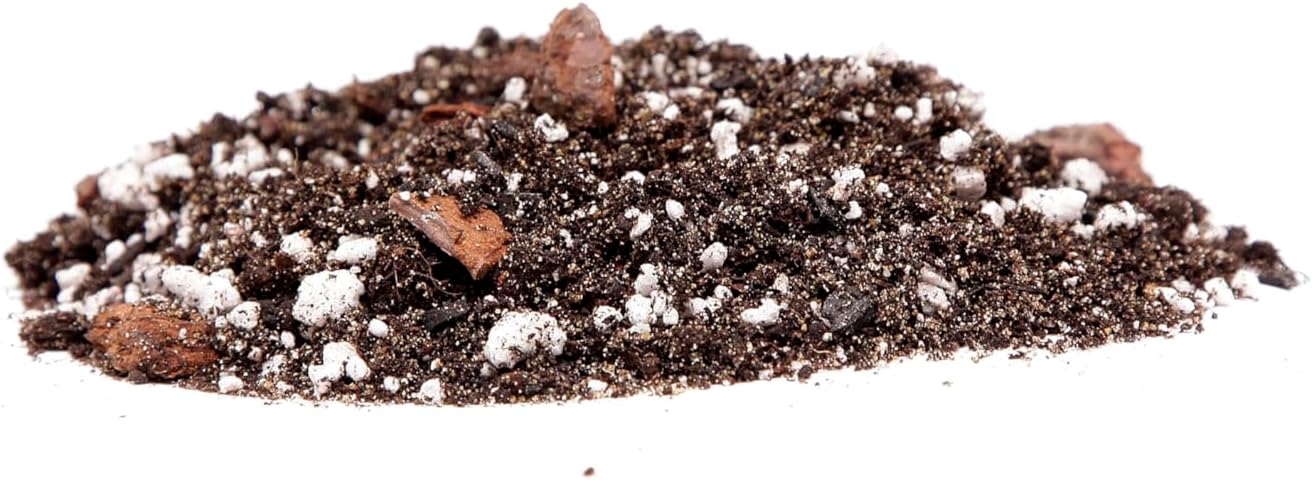 Premium Anthurium Soil Mix - Perfect Blend for Thriving Anthurium Plants