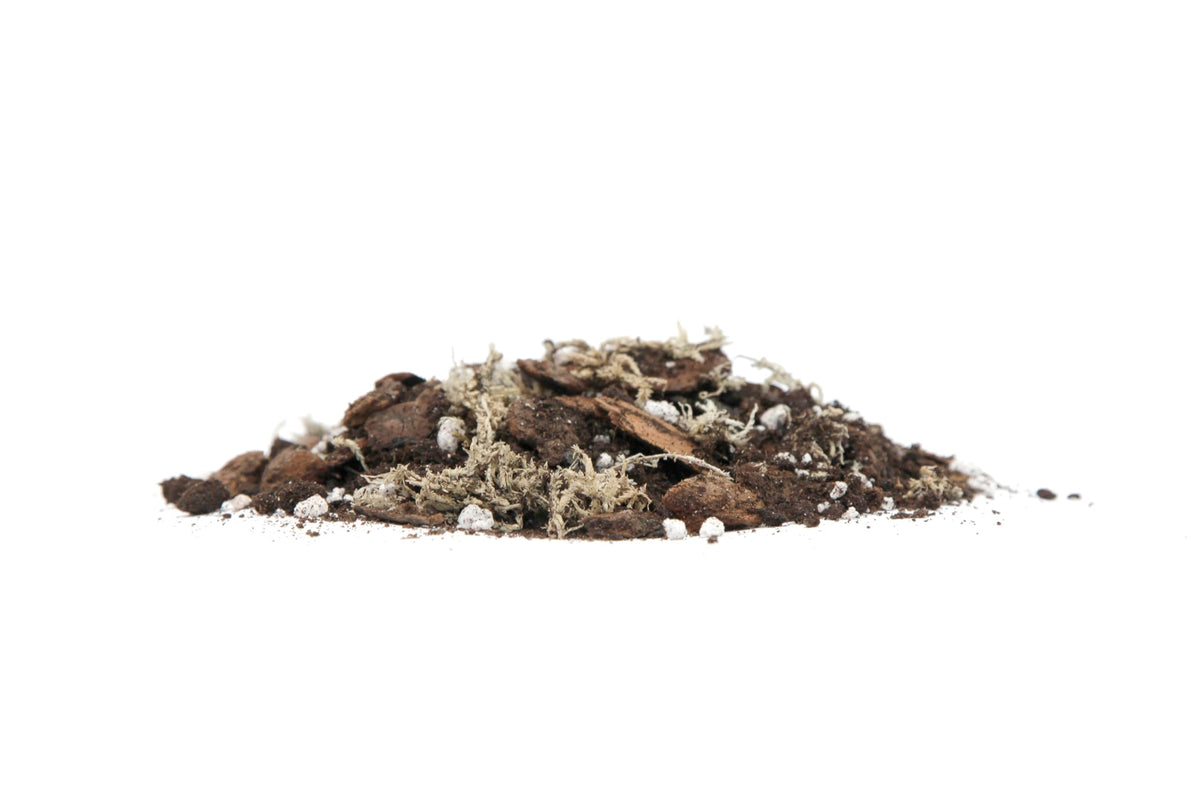 Premium Phalaenopsis Imperial Orchid Potting Mix - Hand Mixed in Small Batches | Great for Phalaenopsis of All Kinds - by GARDENNOVA - 4 Liters Bag