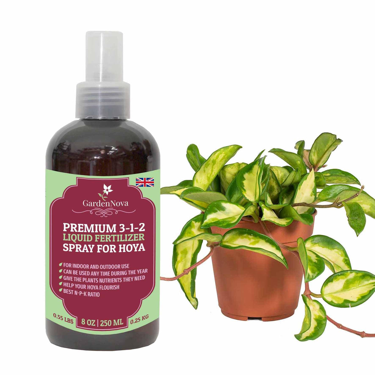 Professional Hoya Spray Fertilizer Mist for Home Gardening | 3-1-2 Gentle Blend Mist for Healthy Leaves & Growth | Essential Nutrients for Hoya Plants - 8oz