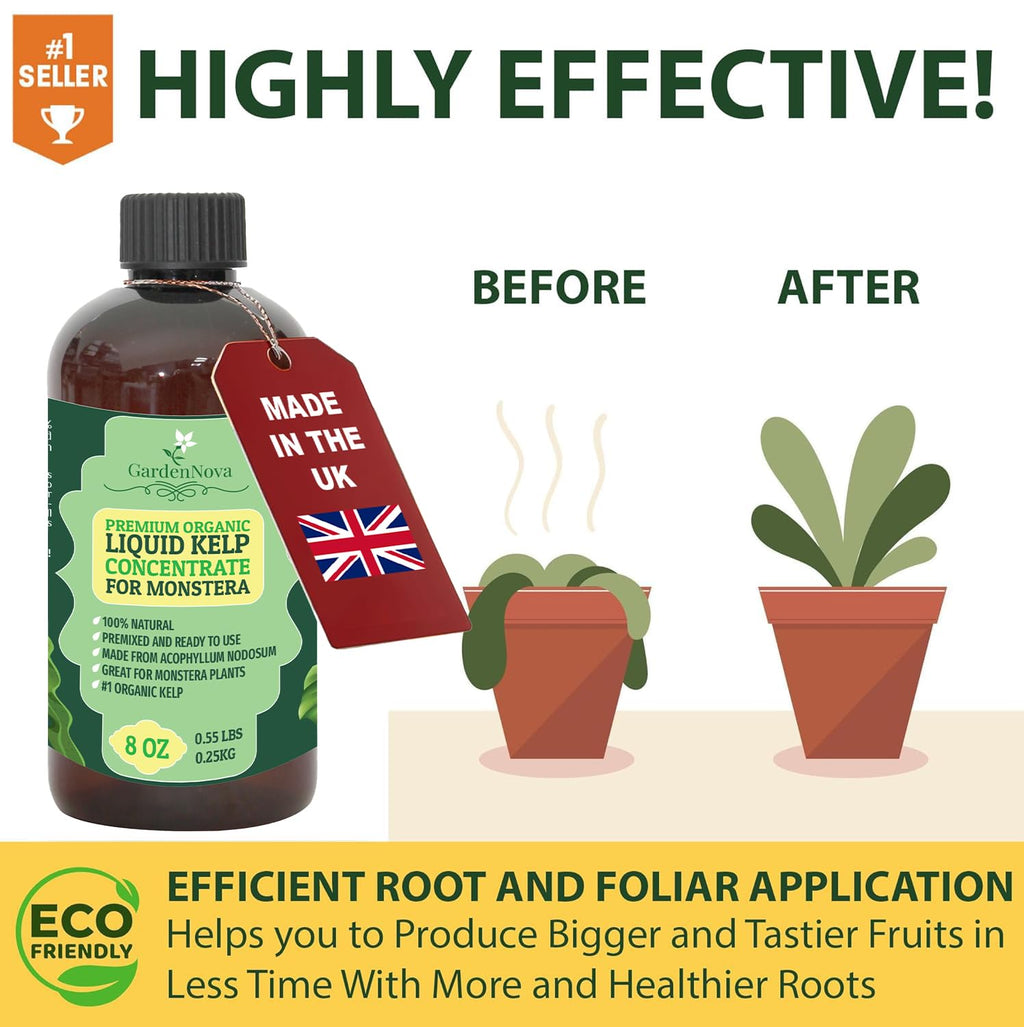 GARDENNOVA Premium Organic Seaweed & Kelp Superfood for Succulents & Cacti Plants - 8 oz - Liquid Kelp Fertilizer Concentrate (Makes 25 Litres)