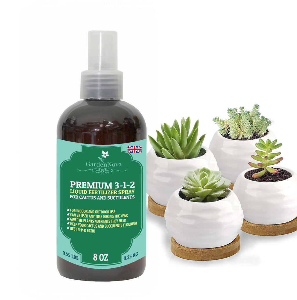 Professional Succulent Spray Fertilizer Mist for Home Gardening | 3-1-2 Gentle Blend Mist for Healthy Leaves & Growth | Essential Nutrients for Succulent and Cacti - 8oz