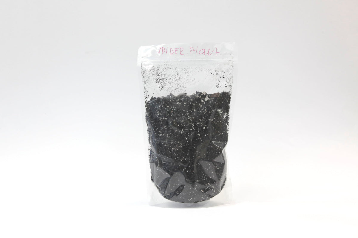 Premium Pothos Potting Soil Mix - Air Cleaning Plant Potting Mix, Soil Mix for Pothos, Parlor Palm, Peace Lily - (5 Liters Bag)