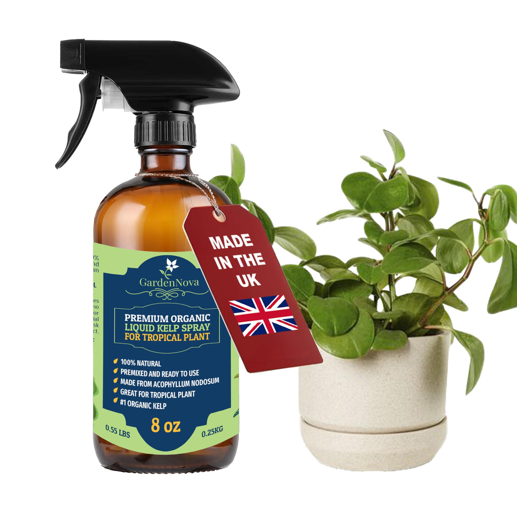 GARDENNOVA Professional Organic Liquid Kelp Spray for Tropical Trees Plants - 8 oz - Ready-to-Use Fully Organic Seaweed & Kelp Fertilizer Mist