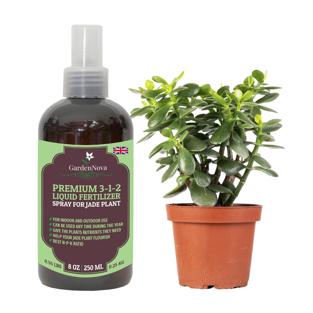 Professional Jade Plant Spray Fertilizer Mist for Home Gardening | 3-1-2 Gentle Blend Mist for Healthy Leaves & Growth | Essential Nutrients for Jade Plants - 8oz