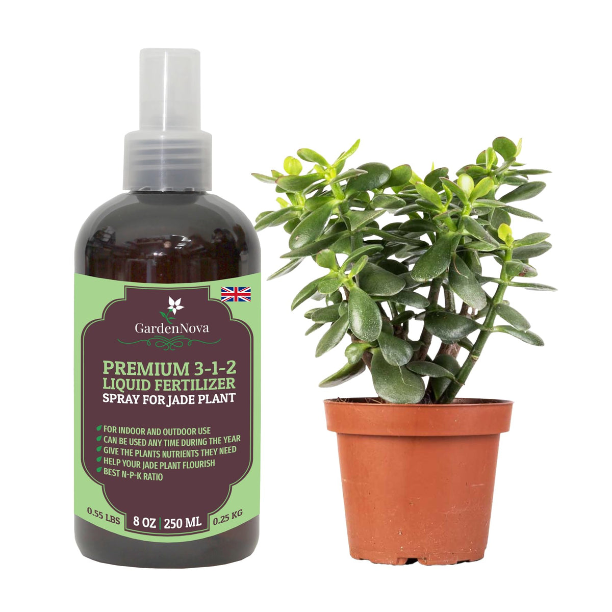 Professional Jade Plant Spray Fertilizer Mist for Home Gardening | 3-1-2 Gentle Blend Mist for Healthy Leaves & Growth | Essential Nutrients for Jade Plants - 8oz