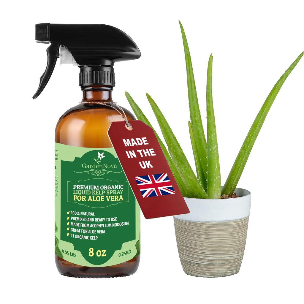 GARDENNOVA Professional Organic Liquid Kelp Spray for Aloe Plants - 8 oz - Ready-to-Use Fully Organic Seaweed & Kelp Fertilizer Mist