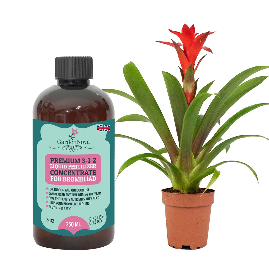 Premium Liquid Bromeliad Fertilizer - 3-1-2 Concentrate for Indoor Plants and Flowers by GardenNova | Organic Plant Food for Bromeliads - 8oz