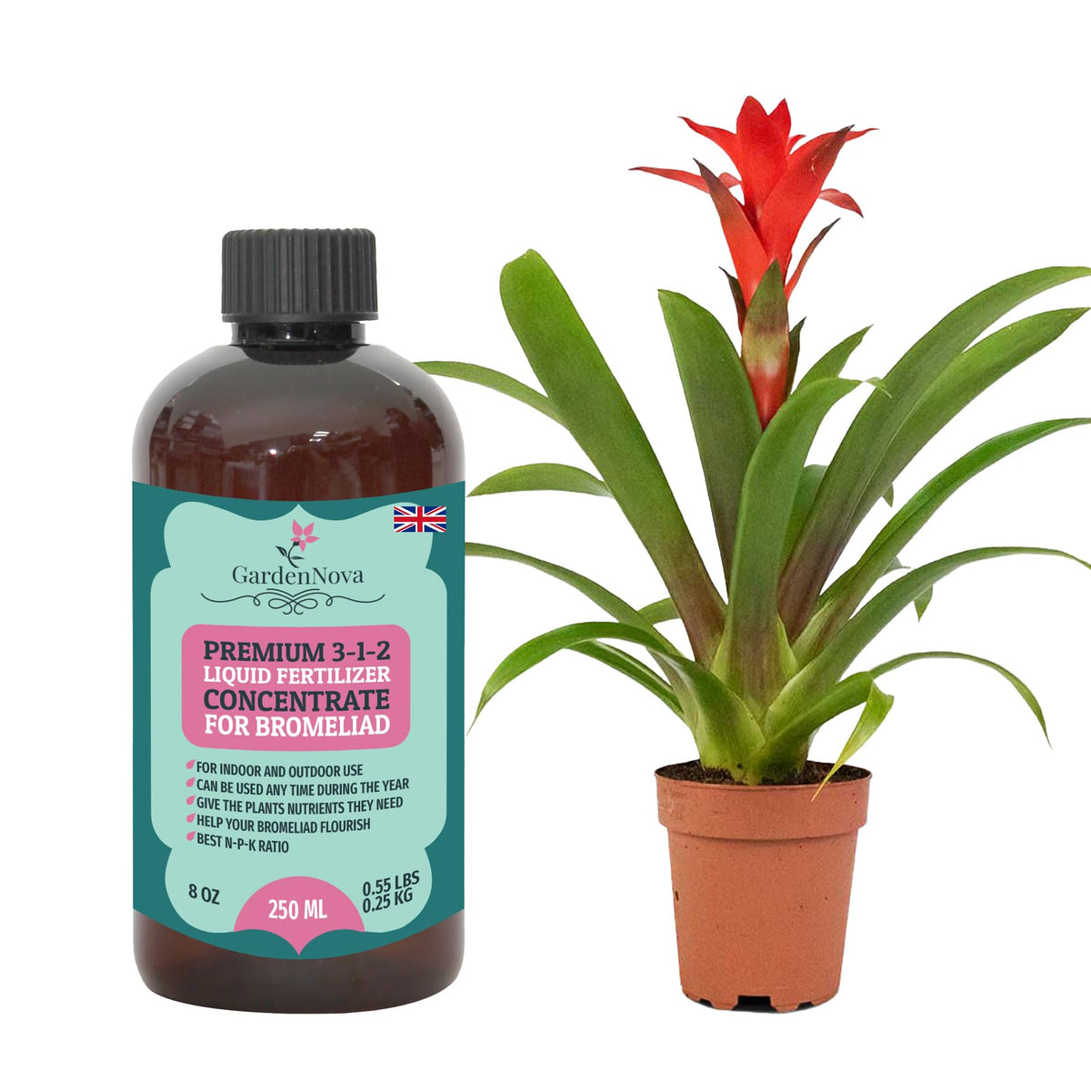 Premium Liquid Bromeliad Fertilizer - 3-1-2 Concentrate for Indoor Plants and Flowers by GardenNova | Organic Plant Food for Bromeliads - 8oz