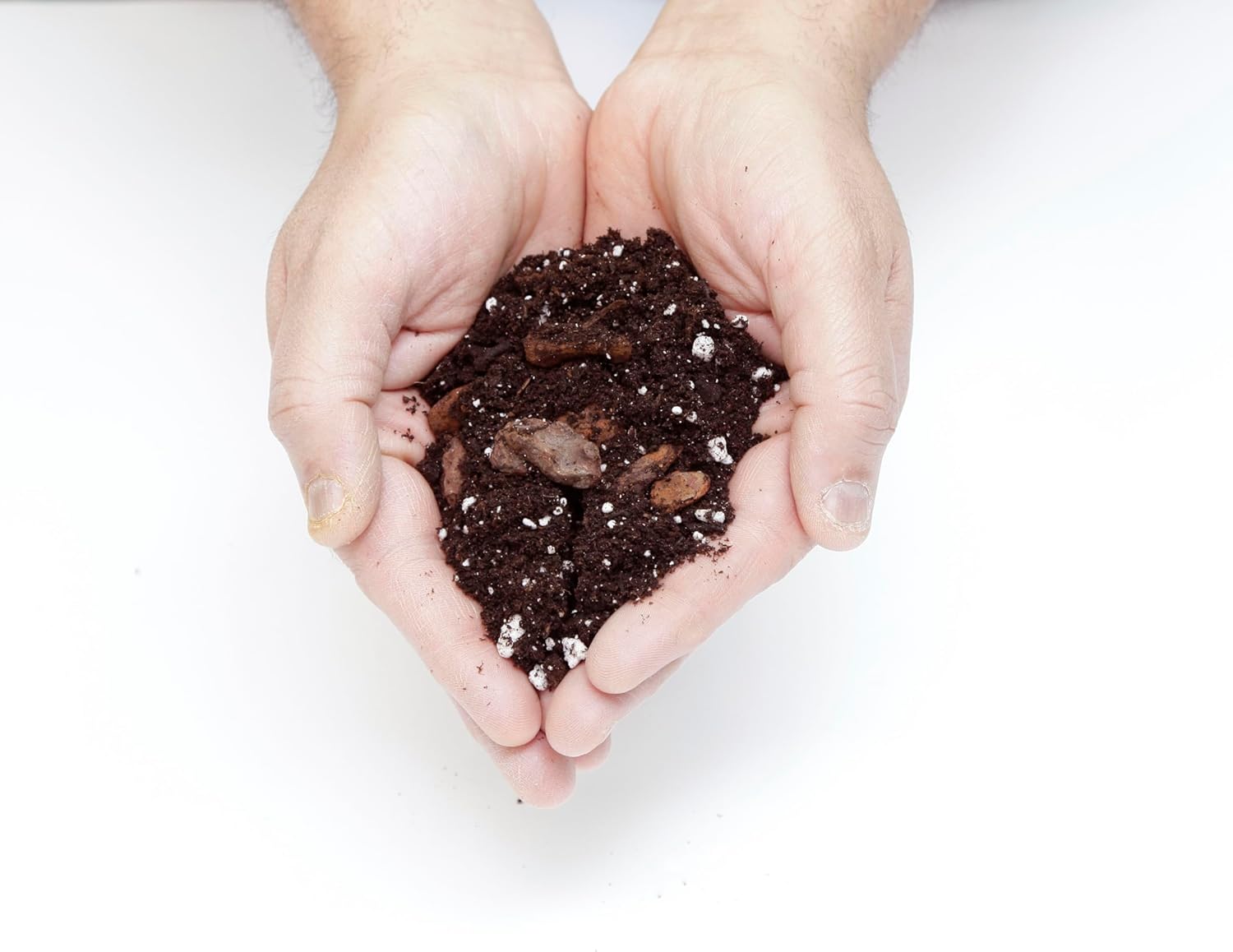 Premium Aloe Vera Potting Soil Mix