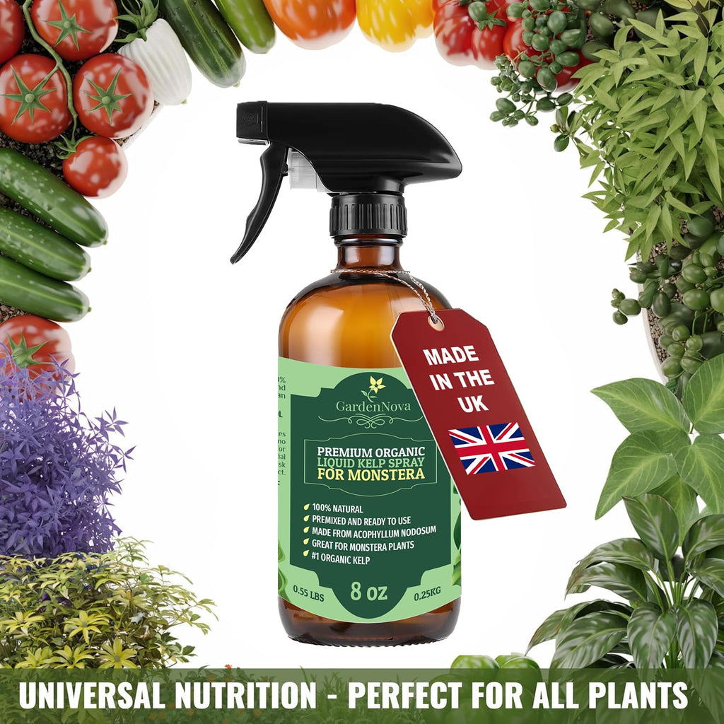 GARDENNOVA Professional Organic Liquid Kelp Spray for Spider Plant Plants - 8 oz - Ready-to-Use Fully Organic Seaweed & Kelp Fertilizer Mist