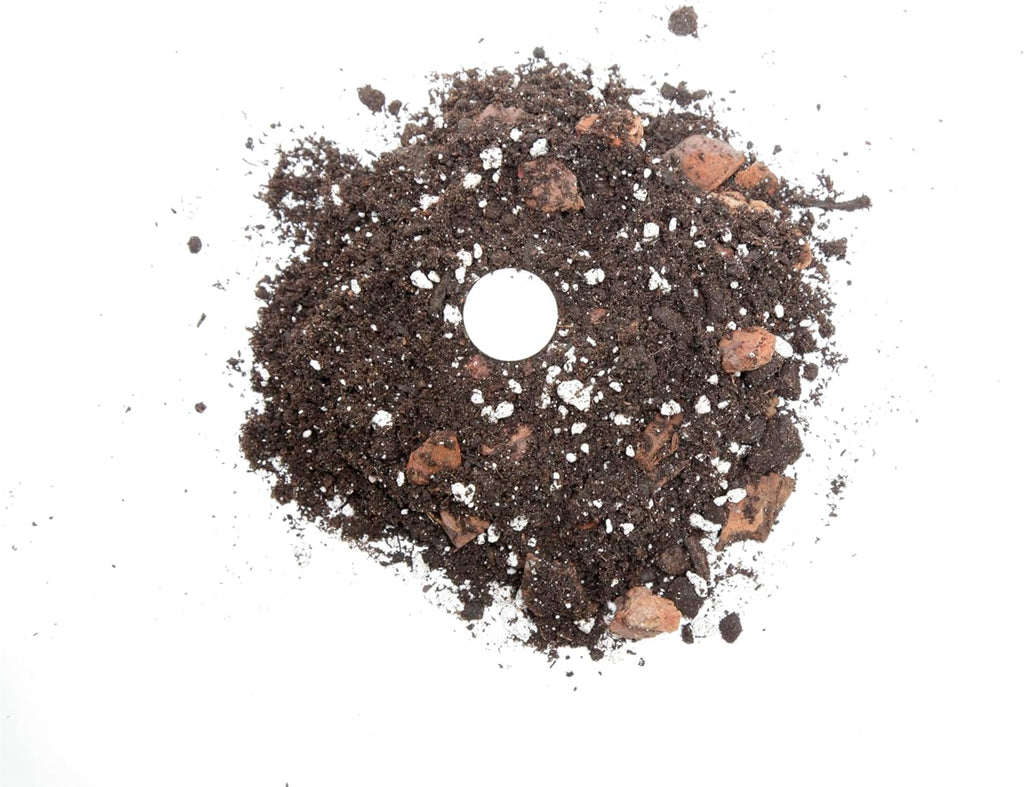 Premium Aloe Vera Potting Soil Mix