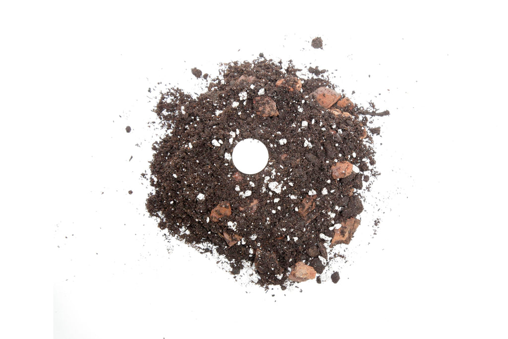 Professional Succulent Soil Premium All Purpose Blend | Pre-Mixed Ready to Use for Cactus and Succulents | Premium Compost, Perlite, Pine Bark - Made in UK - 2 LITERS
