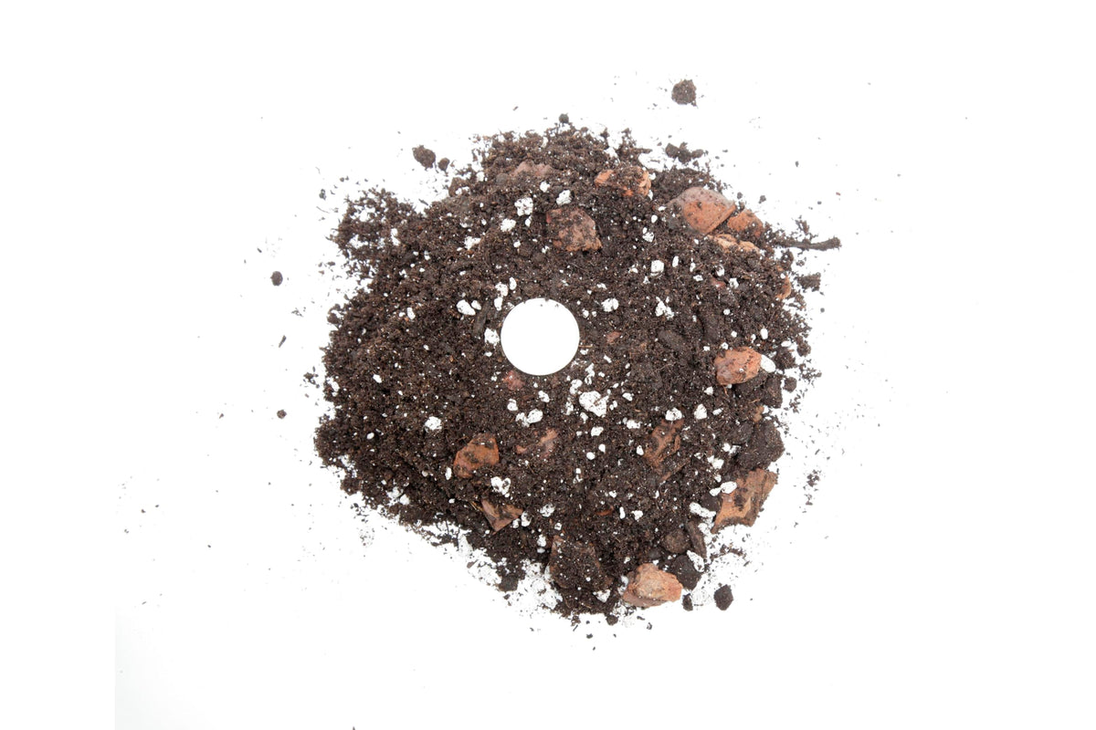 Professional Succulent Soil Premium All Purpose Blend | Pre-Mixed Ready to Use for Cactus and Succulents | Premium Compost, Perlite, Pine Bark - Made in UK - 1 LITER
