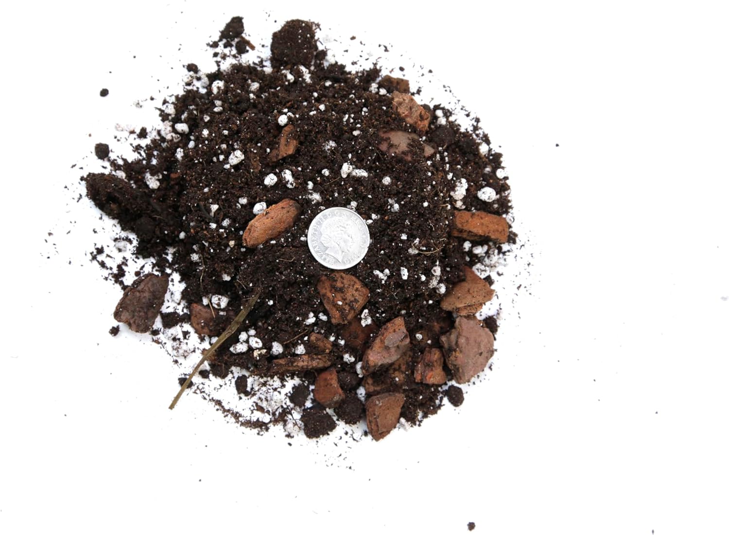 Premium Aroid Potting Mix - Soil Free Blend for Aroids