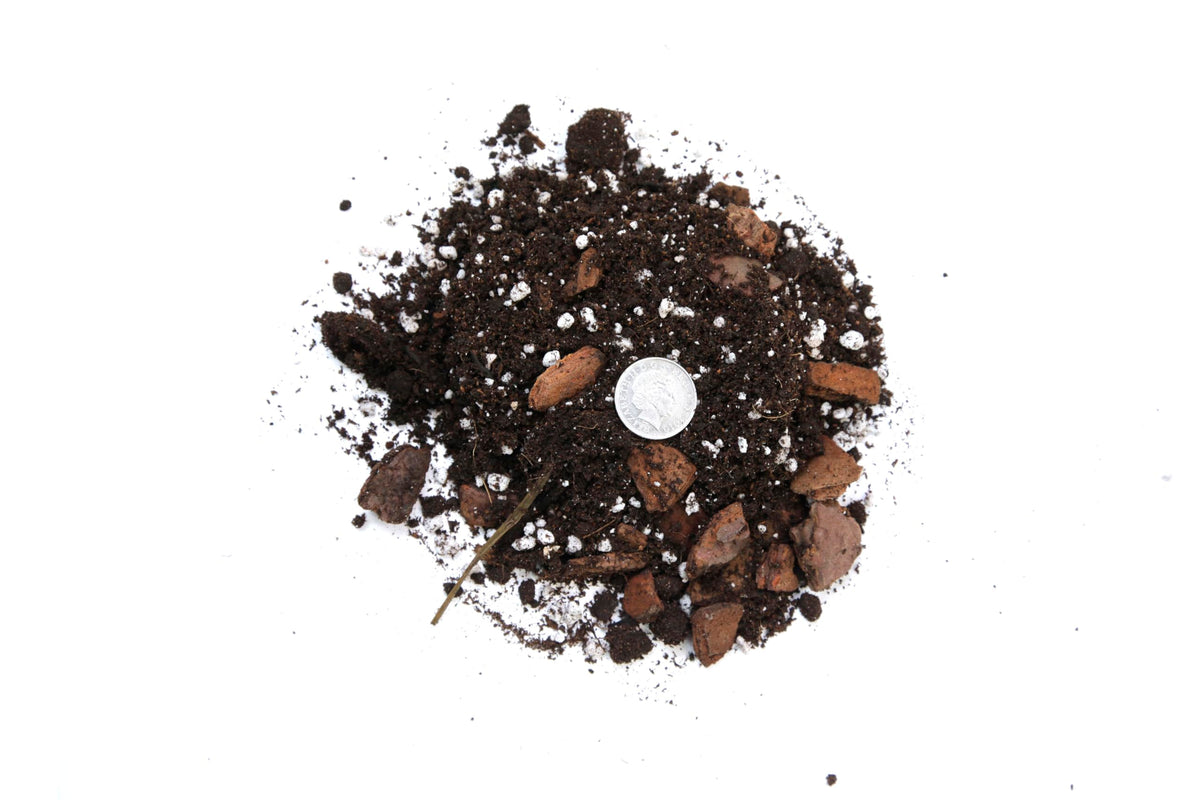 Premium Aroid Potting Mix - Soil Free Blend for Aroids - Growing Medium for House Plants by GardenNova - 20 Liters (4 Bags of 5 Liters)
