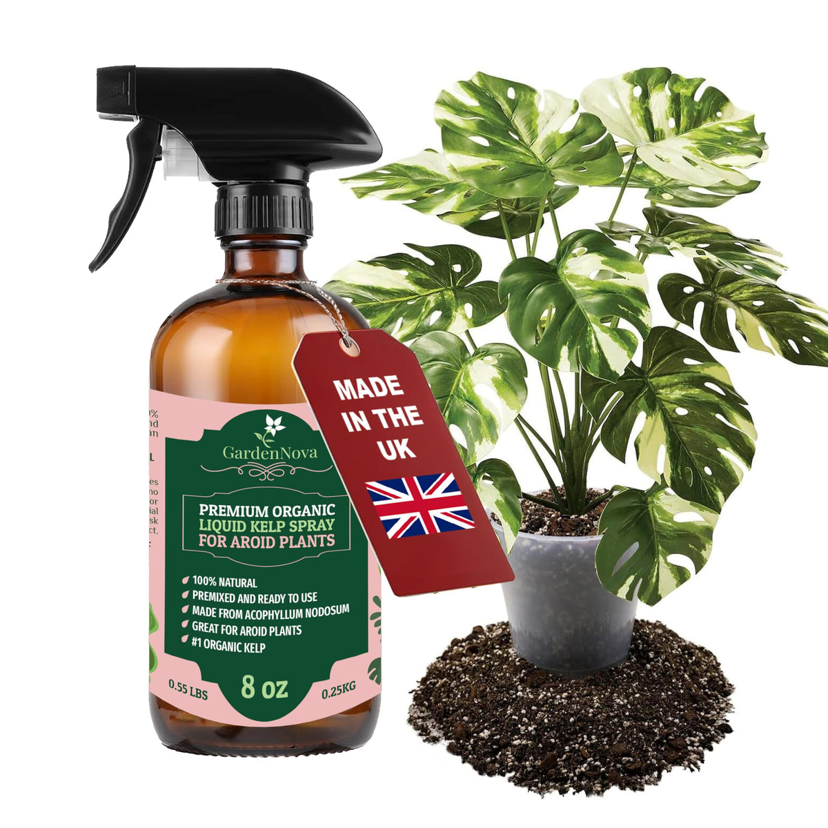 GARDENNOVA Professional Organic Liquid Kelp Spray for AROID Plants - 8 oz - Ready-to-Use Fully Organic Seaweed & Kelp Fertilizer Mist