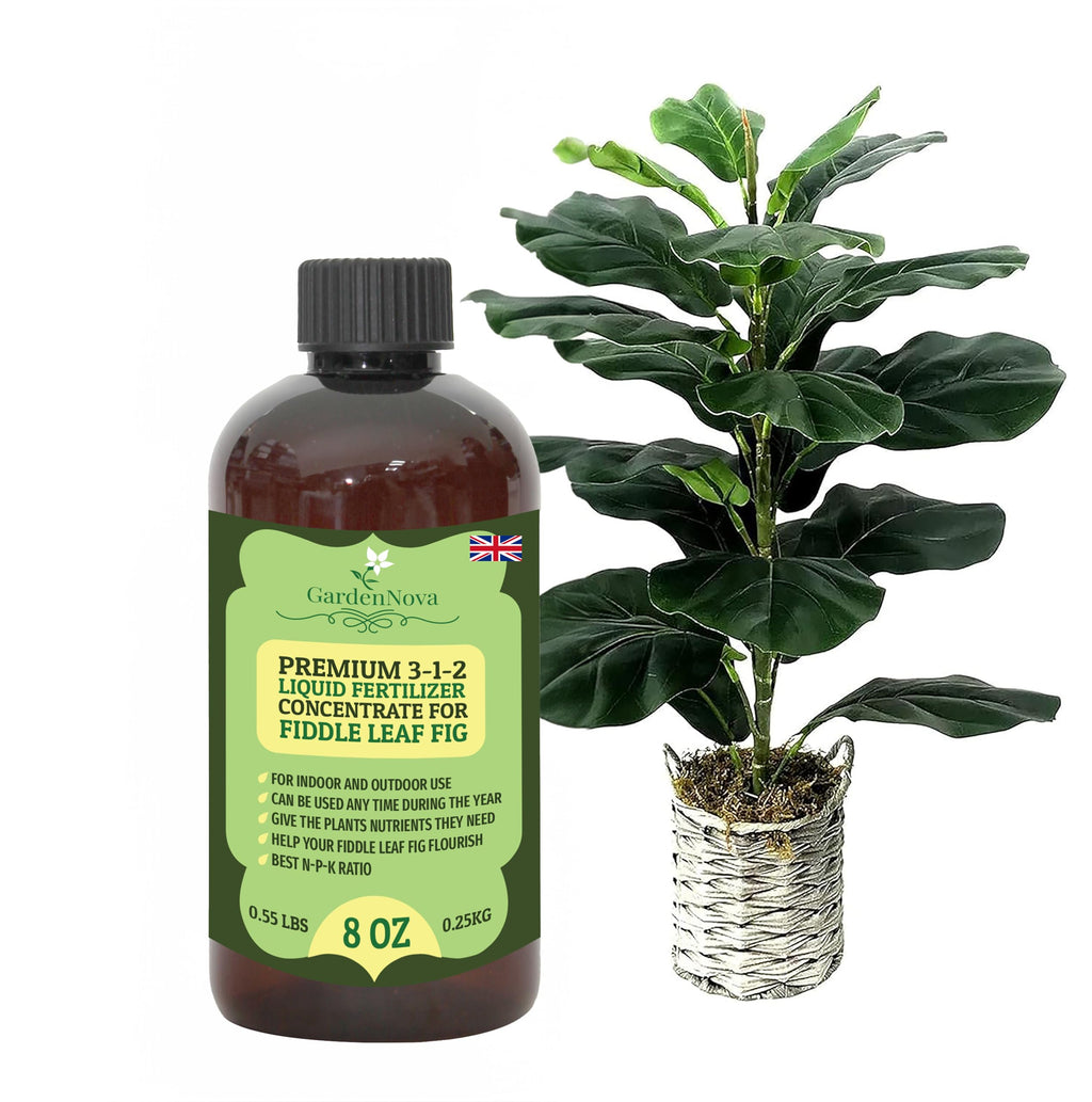 Premium Liquid Fiddle Leaf FIG Plant Fertilizer - 3-1-2 Concentrate for Indoor Plants and Flowers by GardenNova | Organic Plant Food for Fiddle Leaf Fig - 8oz