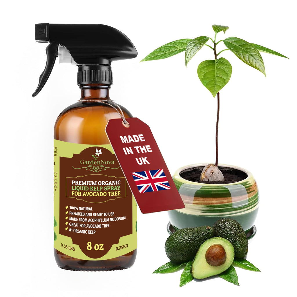 GARDENNOVA Professional Organic Liquid Kelp Spray for Avocado Plants - 8 oz - Ready-to-Use Fully Organic Seaweed & Kelp Fertilizer Mist