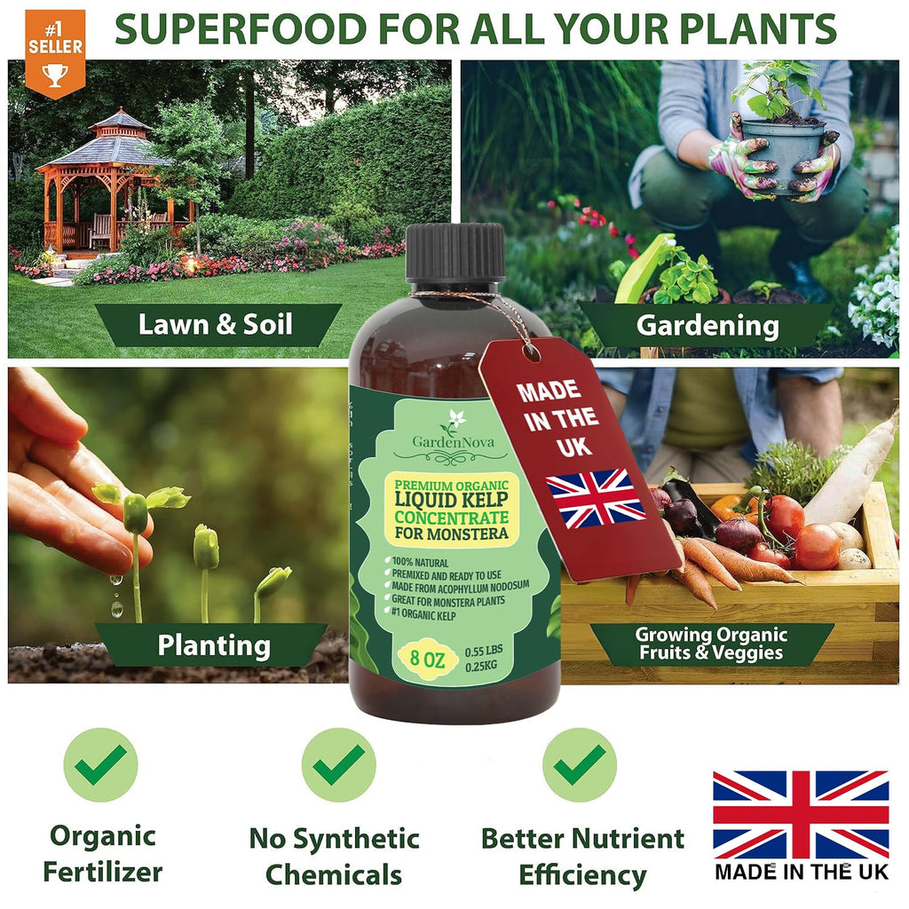 GARDENNOVA Premium Organic Seaweed & Kelp Superfood for Succulents & Cacti Plants - 8 oz - Liquid Kelp Fertilizer Concentrate (Makes 25 Litres)