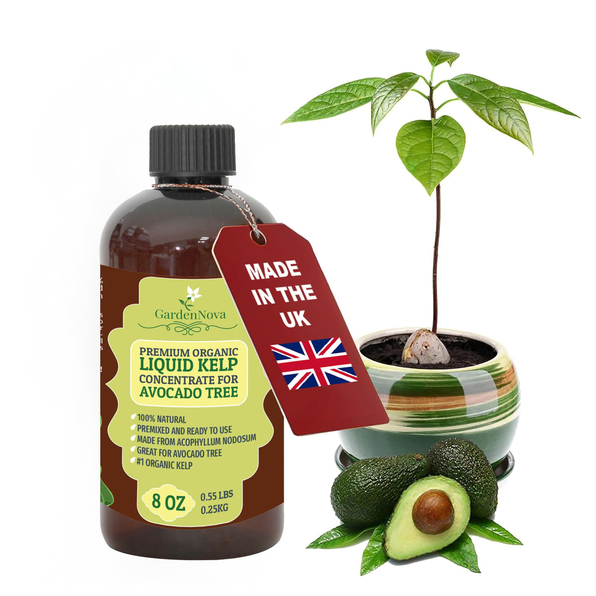 GARDENNOVA Premium Organic Seaweed & Kelp Superfood for Avocado Plants - 8 oz - Liquid Kelp Fertilizer Concentrate (Makes 25 Litres)