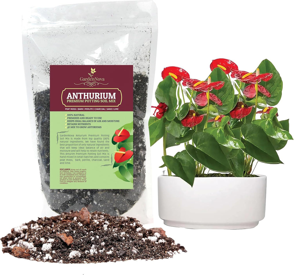 Premium Anthurium Soil Mix - Perfect Blend for Thriving Anthurium Plants