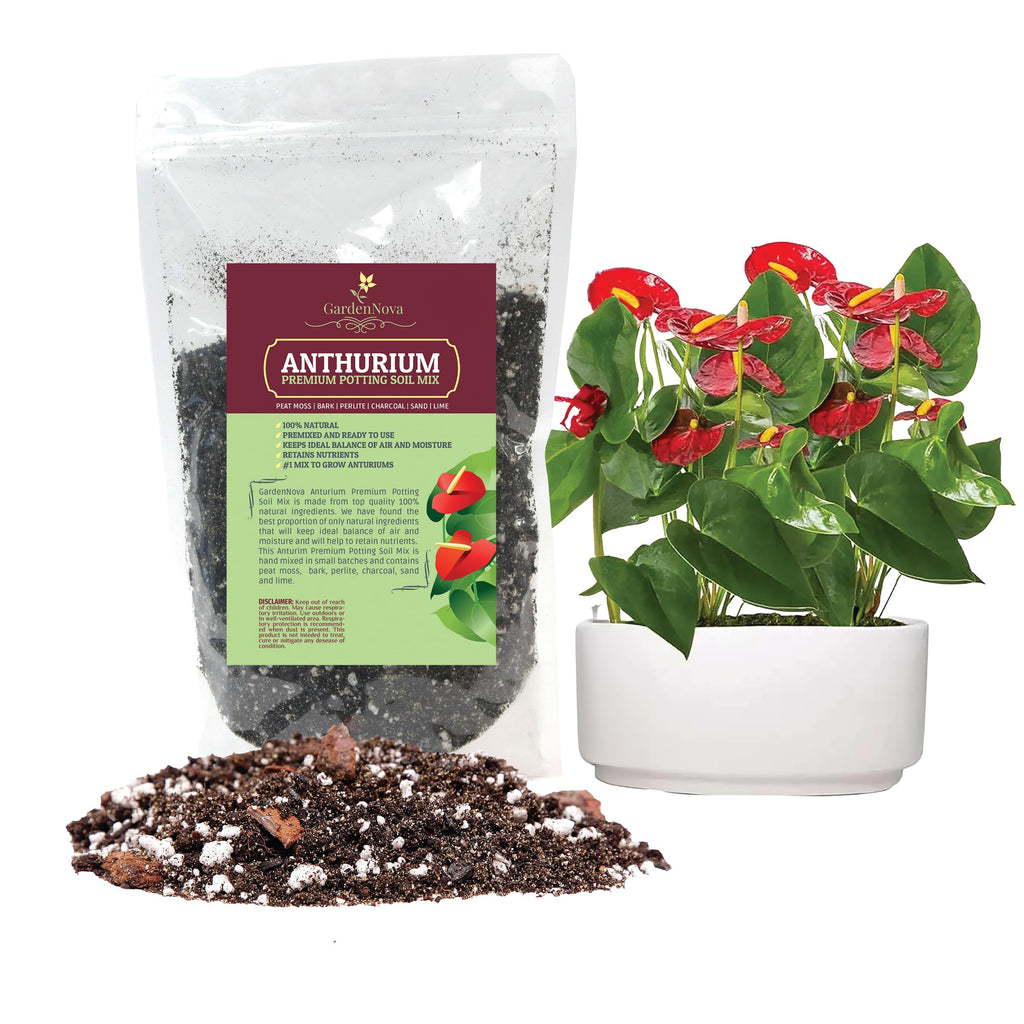 GardenNova Premium Anthurium Soil Mix - Perfect Blend for Thriving Anthurium Plants - 3 Liters