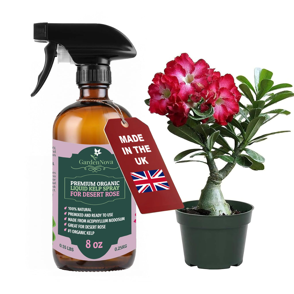 GARDENNOVA Professional Organic Liquid Kelp Spray for Desert Rose Plants - 8 oz - Ready-to-Use Fully Organic Seaweed & Kelp Fertilizer Mist