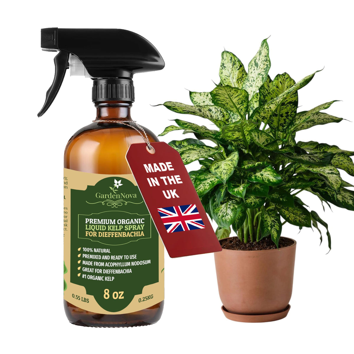 GARDENNOVA Professional Organic Liquid Kelp Spray for Dieffenbachia - 8 oz - Ready-to-Use Fully Organic Seaweed & Kelp Fertilizer Mist