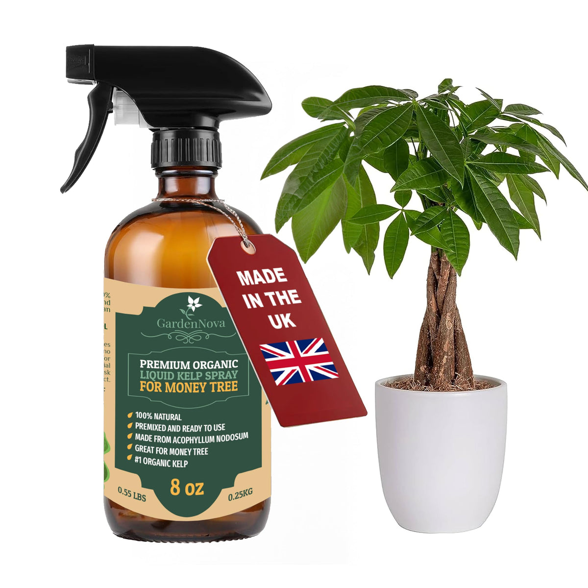 GARDENNOVA Professional Organic Liquid Kelp Spray for Money Tree Plants - 8 oz - Ready-to-Use Fully Organic Seaweed & Kelp Fertilizer Mist