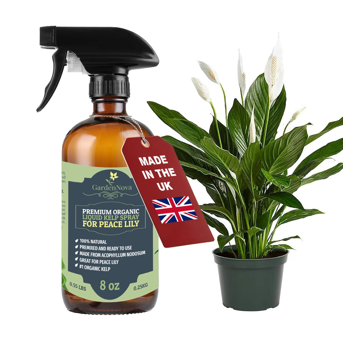 GARDENNOVA Professional Organic Liquid Kelp Spray for Peace Lily Plants - 8 oz - Ready-to-Use Fully Organic Seaweed & Kelp Fertilizer Mist