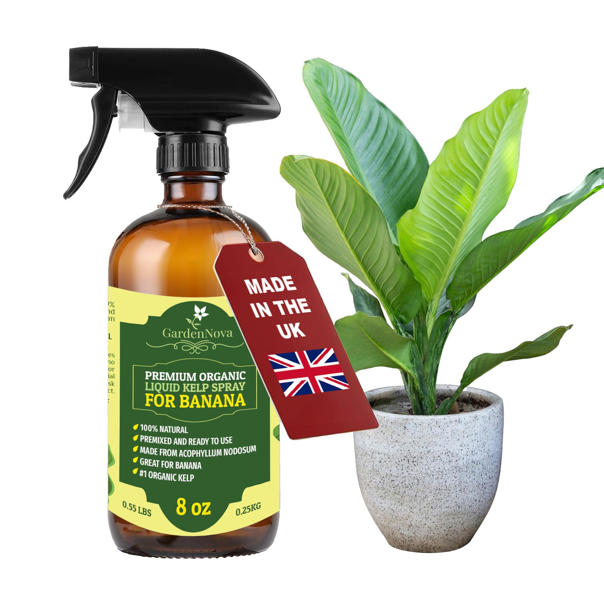 GARDENNOVA Professional Organic Liquid Kelp Spray for Banana Trees - 8 oz - Ready-to-Use Fully Organic Seaweed & Kelp Fertilizer Mist