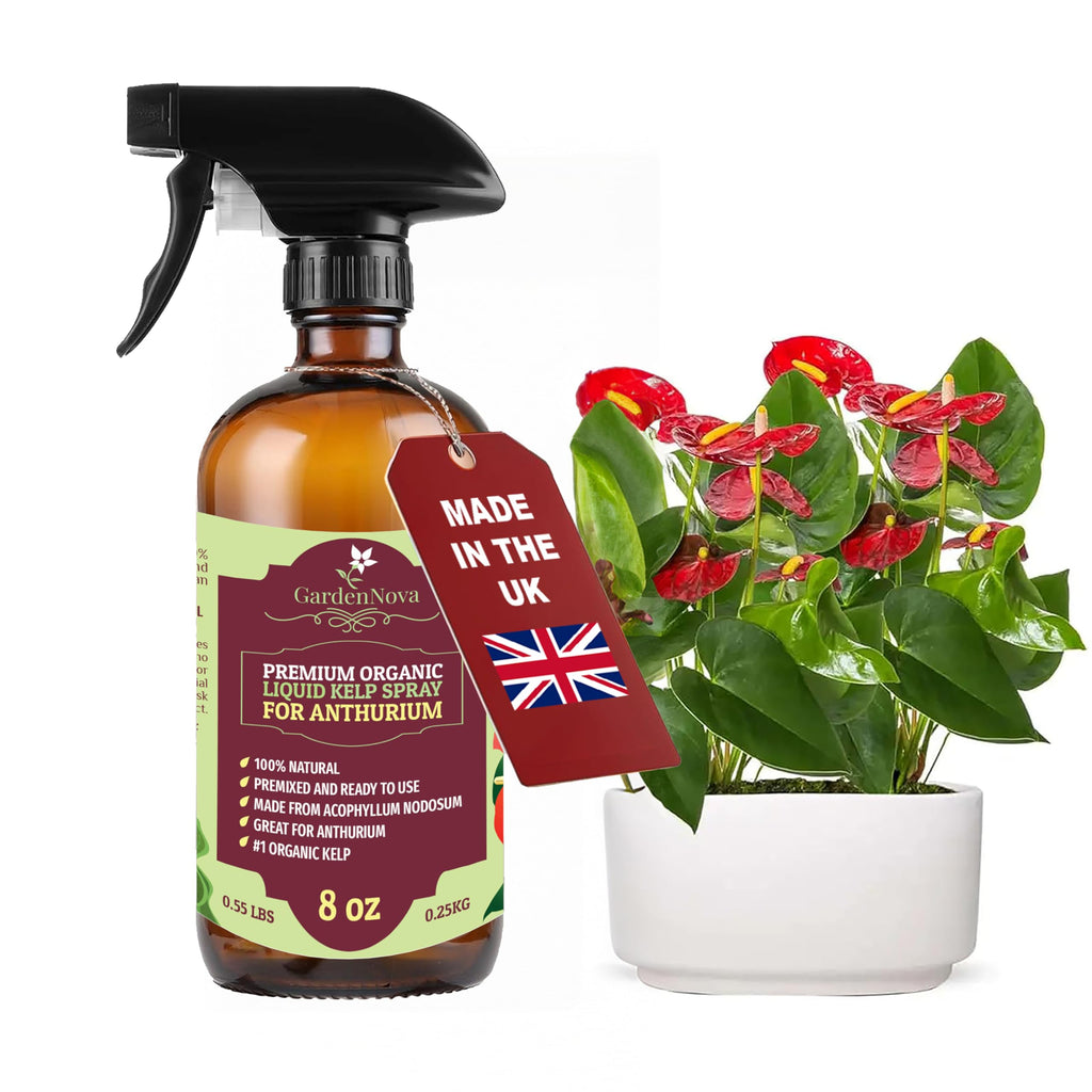GARDENNOVA Professional Organic Liquid Kelp Spray for ANTHURIUM Plants - 8 oz - Ready-to-Use Fully Organic Seaweed & Kelp Fertilizer Mist