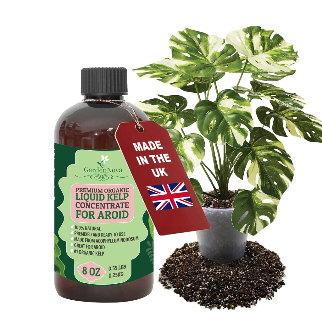 GARDENNOVA Premium Organic Seaweed & Kelp Superfood for AROID Plants - 8 oz - Liquid Kelp Fertilizer Concentrate (Makes 25 Litres)