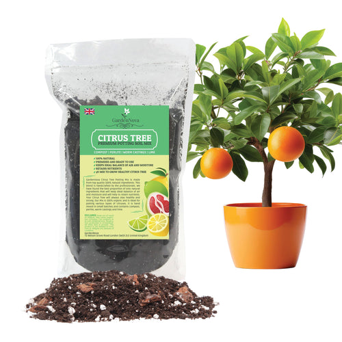 Citrus Tree Potting Soil Mix, Special Blend for Indoor Oranges, Lemons, Limes and More - (2 Liters Bag)