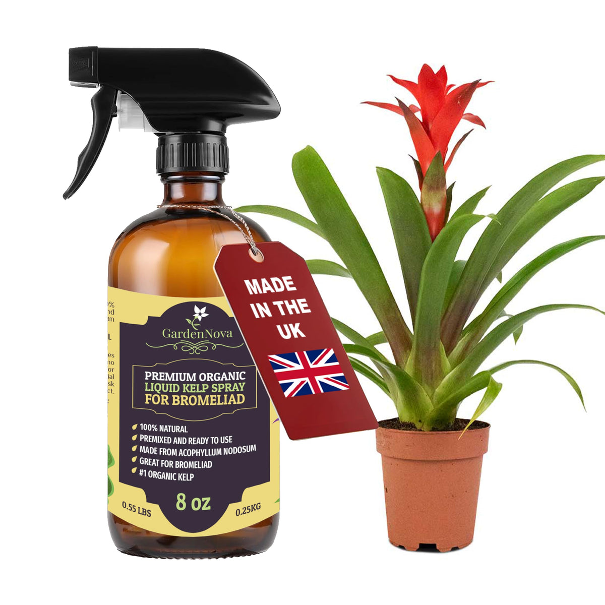 GARDENNOVA Professional Organic Liquid Kelp Spray for Bromeliad Plants - 8 oz - Ready-to-Use Fully Organic Seaweed & Kelp Fertilizer Mist