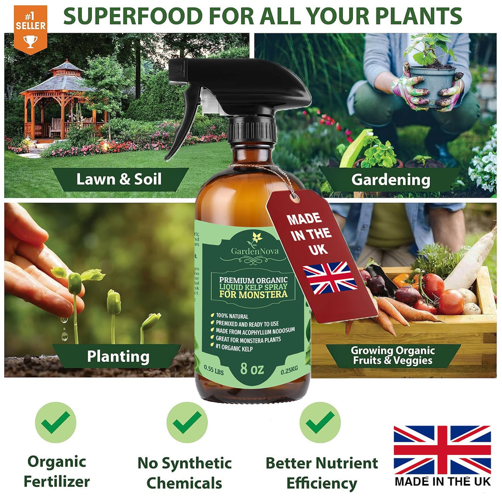 GARDENNOVA Professional Organic Liquid Kelp Spray for CALATHEA Plants - 8 oz - Ready-to-Use Fully Organic Seaweed & Kelp Fertilizer Mist