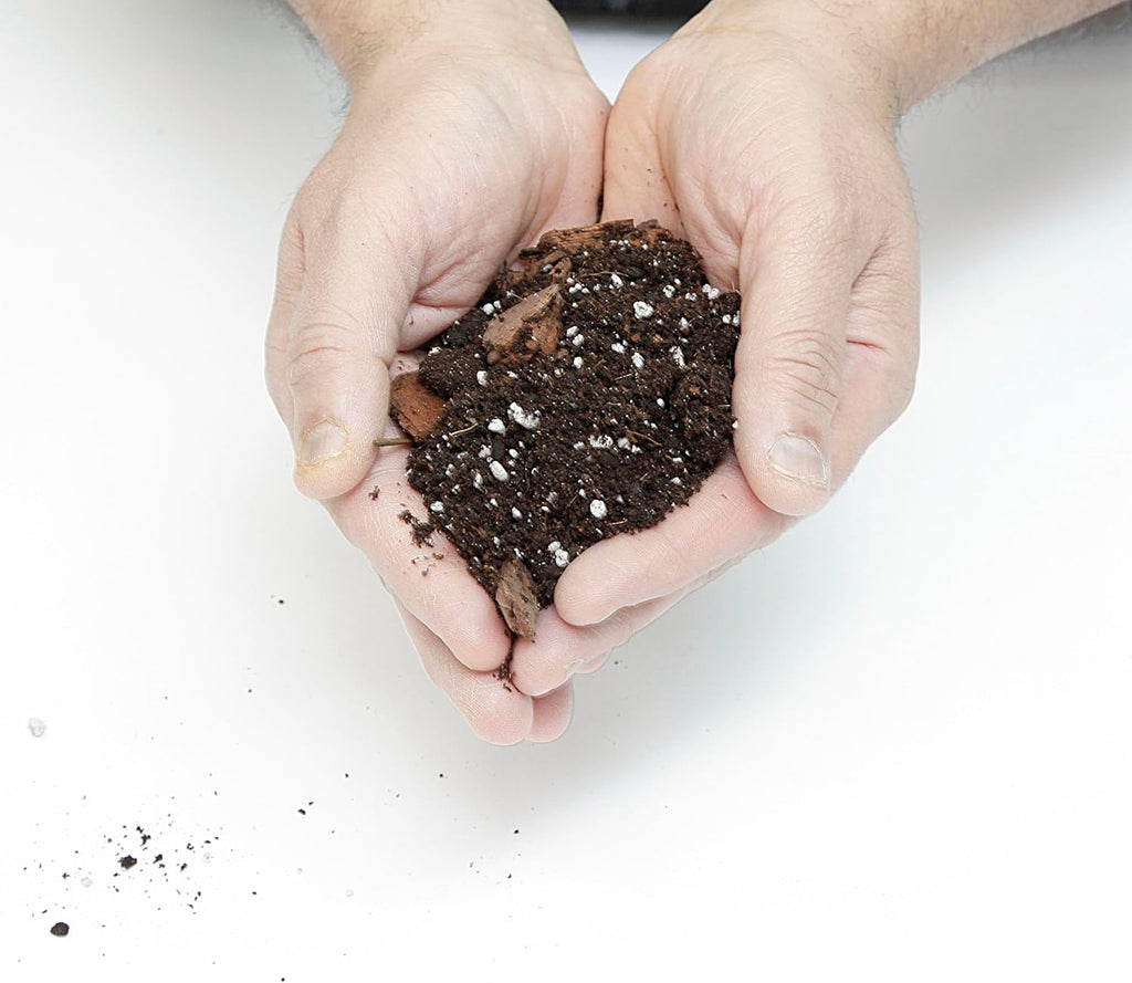 PREMIUM African Violets and Gesneriad Premium Soil Mix by GardenNova