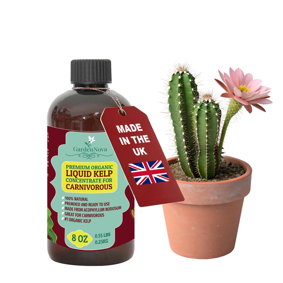 GARDENNOVA Premium Organic Seaweed & Kelp Superfood for Carnivorous Plants - 8 oz - Liquid Kelp Fertilizer Concentrate (Makes 25 Litres)