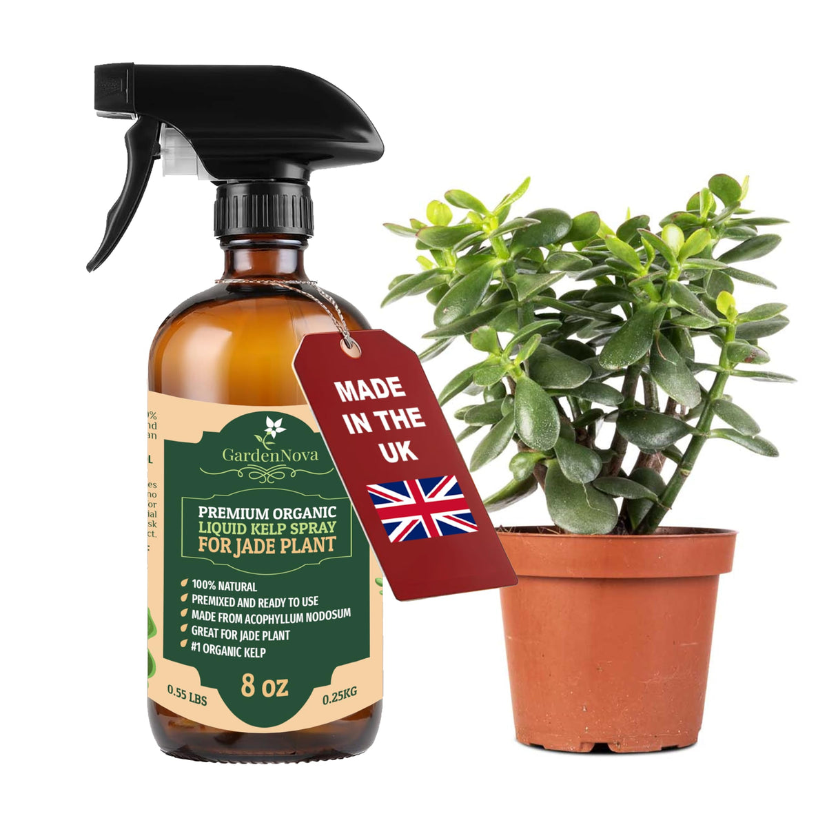 GARDENNOVA Professional Organic Liquid Kelp Spray for Jade Plants - 8 oz - Ready-to-Use Fully Organic Seaweed & Kelp Fertilizer Mist