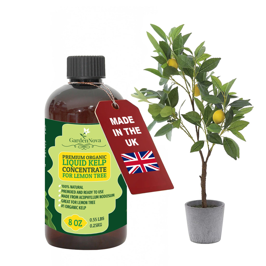 GARDENNOVA Premium Organic Seaweed & Kelp Superfood for Lemon Plants - 8 oz - Liquid Kelp Fertilizer Concentrate (Makes 25 Litres)