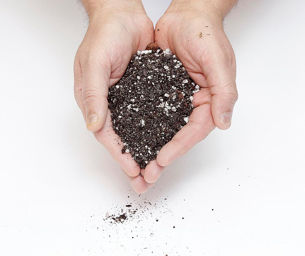 Premium Anthurium Soil Mix - Perfect Blend for Thriving Anthurium Plants