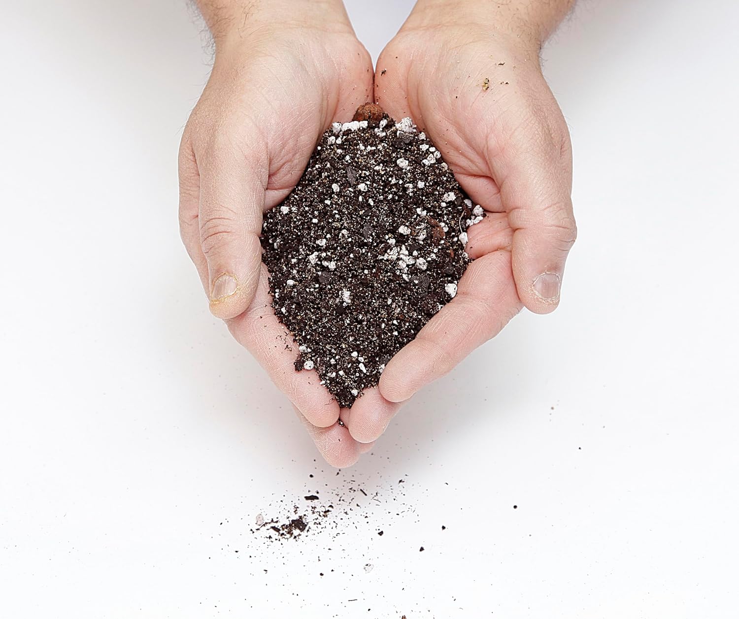 Premium Anthurium Soil Mix - Perfect Blend for Thriving Anthurium Plants