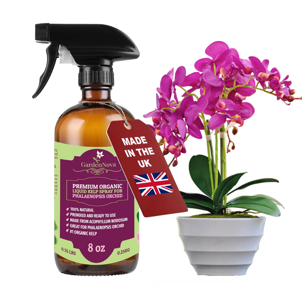 GARDENNOVA Professional Organic Liquid Kelp Spray for Orchid Plants - 8 oz - Ready-to-Use Fully Organic Seaweed & Kelp Fertilizer Mist