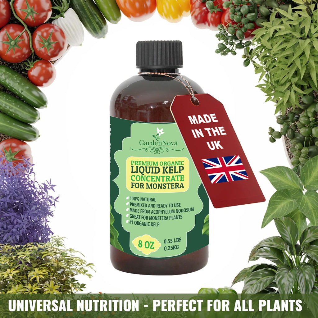 GARDENNOVA Premium Organic Seaweed & Kelp Superfood for Succulents & Cacti Plants - 8 oz - Liquid Kelp Fertilizer Concentrate (Makes 25 Litres)
