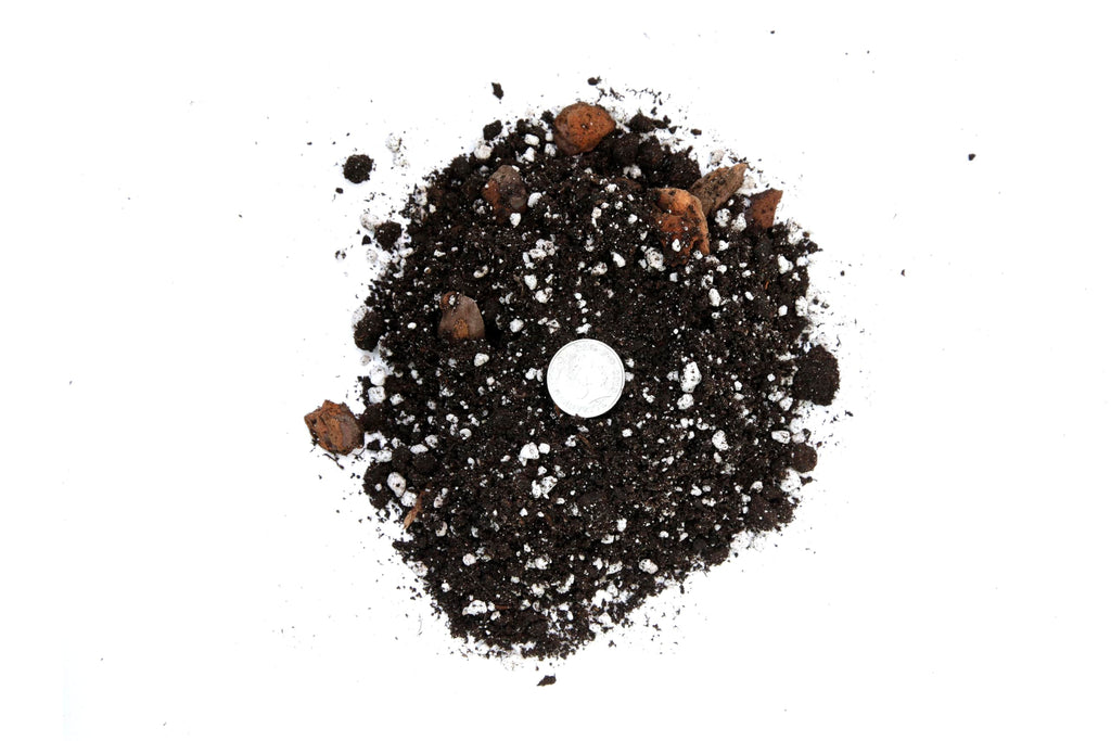 Money Tree Soil Mix for Planting or Repotting Guiana Chestnut, Soil Blended to Properly Grow Money Tree Plants - (2 Liters Bag)